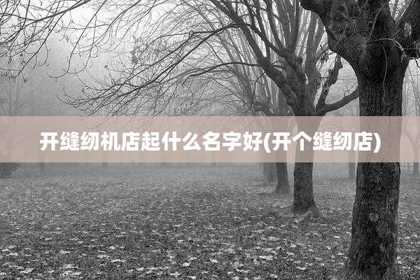 开缝纫机店起什么名字好(开个缝纫店)