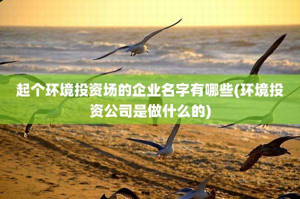 起个环境投资场的企业名字有哪些(环境投资公司是做什么的)