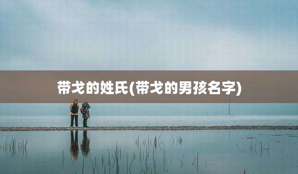 带戈的姓氏(带戈的男孩名字)