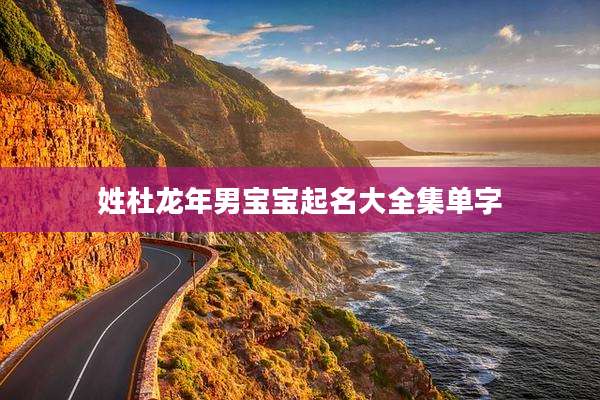 姓杜龙年男宝宝起名大全集单字
