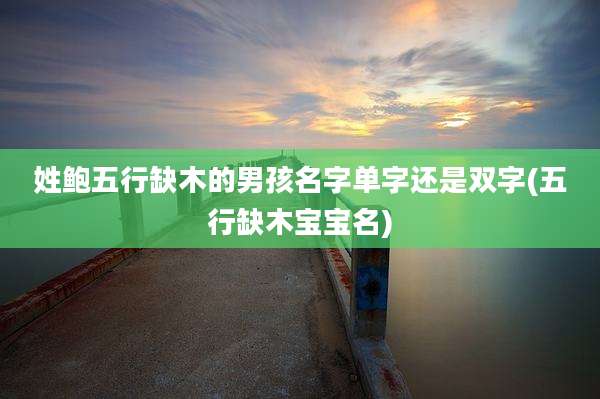 姓鲍五行缺木的男孩名字单字还是双字(五行缺木宝宝名)
