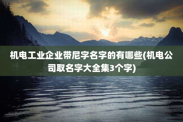 机电工业企业带尼字名字的有哪些(机电公司取名字大全集3个字)