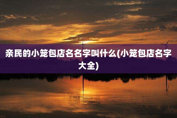 亲民的小笼包店名名字叫什么(小笼包店名字大全)