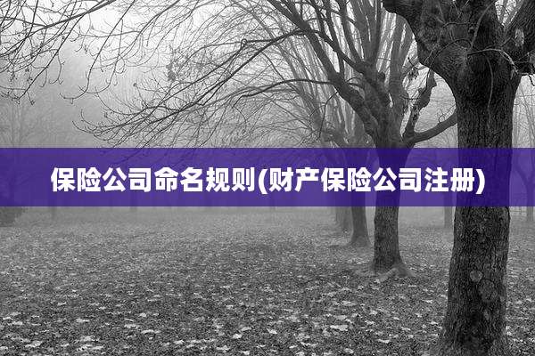 保险公司命名规则(财产保险公司注册)