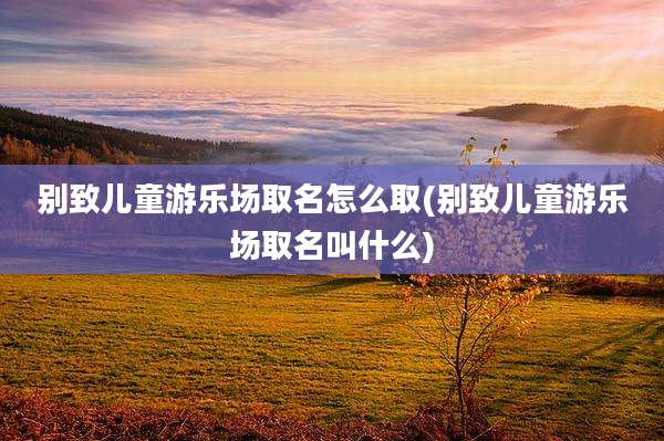 别致儿童游乐场取名怎么取(别致儿童游乐场取名叫什么)