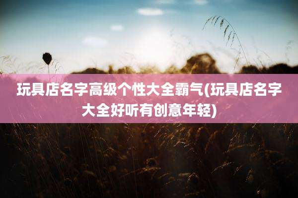 玩具店名字高级个性大全霸气(玩具店名字大全好听有创意年轻)
