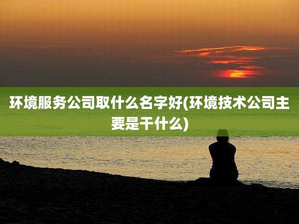 环境服务公司取什么名字好(环境技术公司主要是干什么)