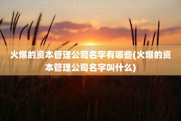 火爆的资本管理公司名字有哪些(火爆的资本管理公司名字叫什么)