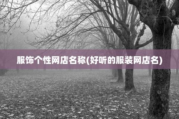服饰个性网店名称(好听的服装网店名)