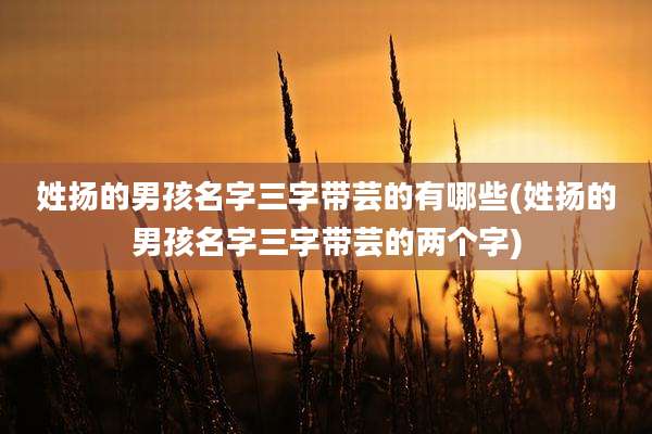 姓扬的男孩名字三字带芸的有哪些(姓扬的男孩名字三字带芸的两个字)