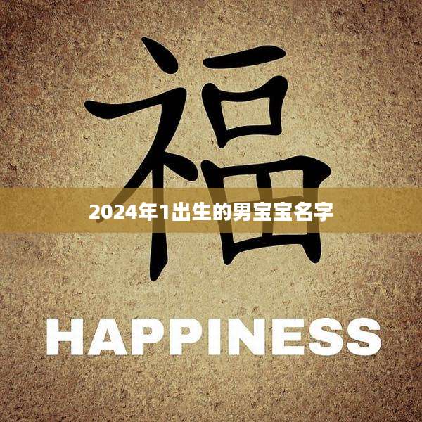 2024年1出生的男宝宝名字