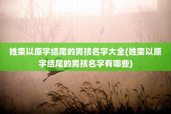 姓栾以原字结尾的男孩名字大全(姓栾以原字结尾的男孩名字有哪些)