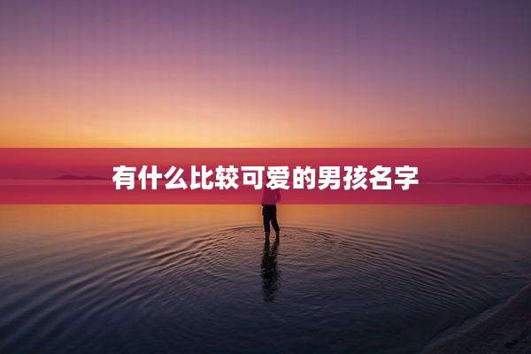 有什么比较可爱的男孩名字