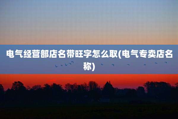 电气经营部店名带旺字怎么取(电气专卖店名称)