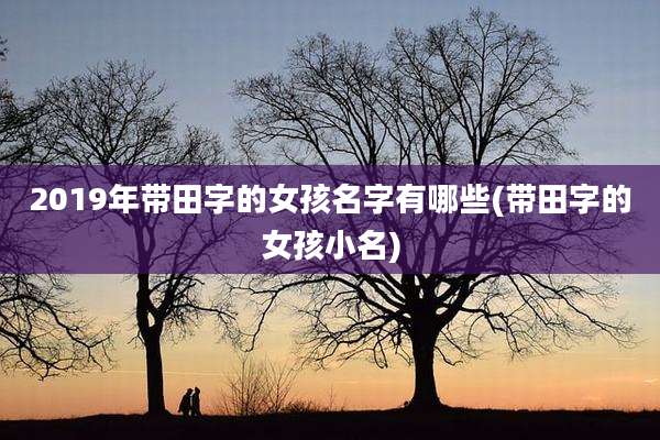 2019年带田字的女孩名字有哪些(带田字的女孩小名)