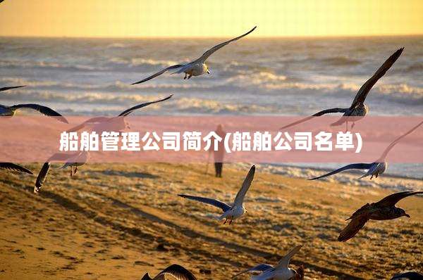 船舶管理公司简介(船舶公司名单)