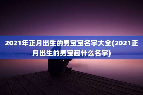 2021年正月出生的男宝宝名字大全(2021正月出生的男宝起什么名字)