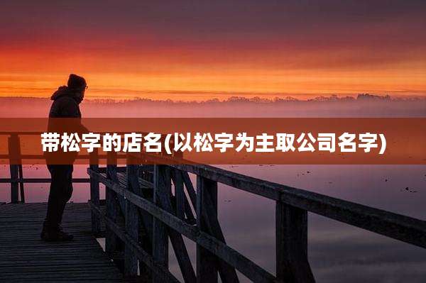 带松字的店名(以松字为主取公司名字)