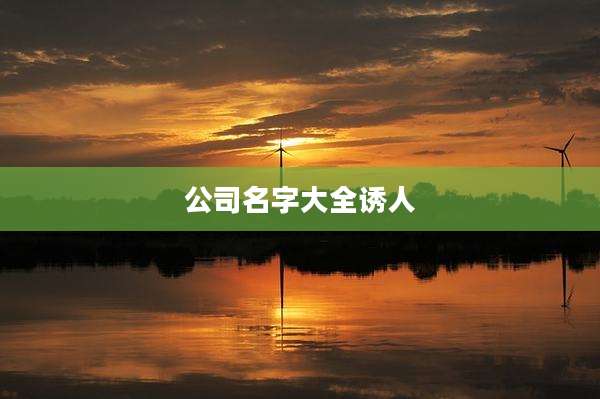 公司名字大全诱人