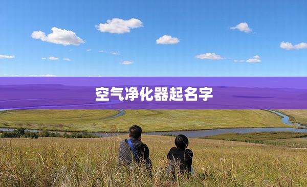 空气净化器起名字