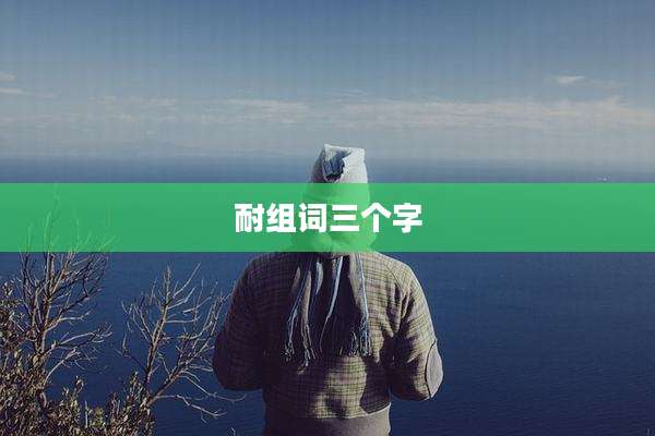 耐组词三个字