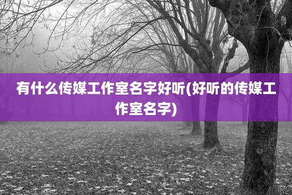 有什么传媒工作室名字好听(好听的传媒工作室名字)
