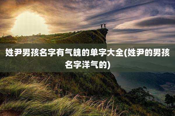 姓尹男孩名字有气魄的单字大全(姓尹的男孩名字洋气的)