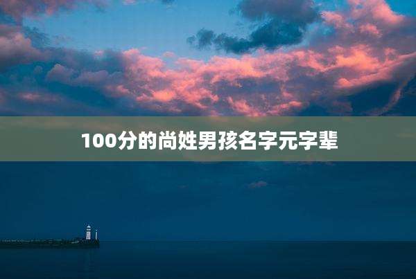 100分的尚姓男孩名字元字辈