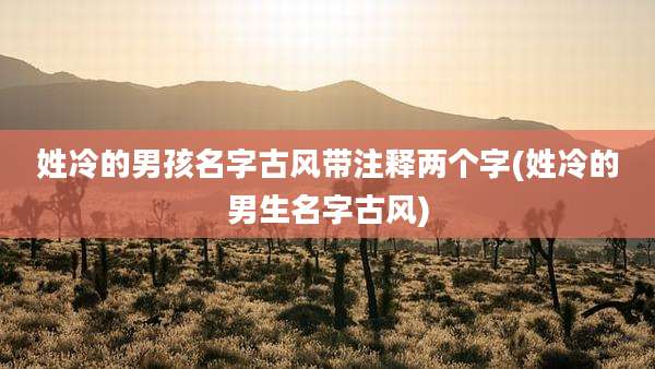 姓冷的男孩名字古风带注释两个字(姓冷的男生名字古风)