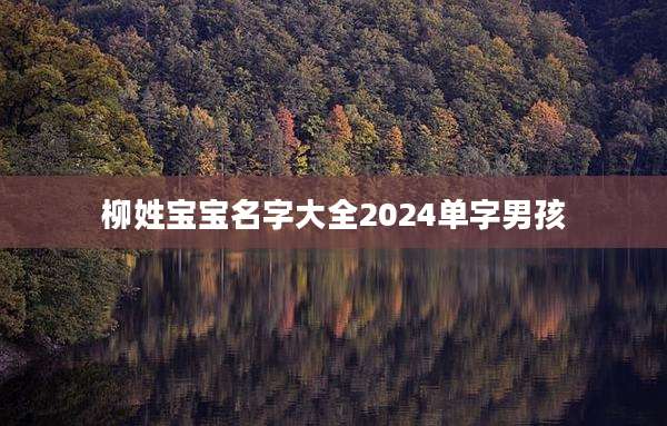 柳姓宝宝名字大全2024单字男孩