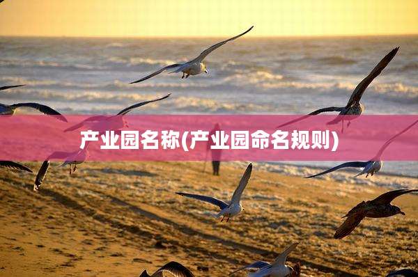 产业园名称(产业园命名规则)