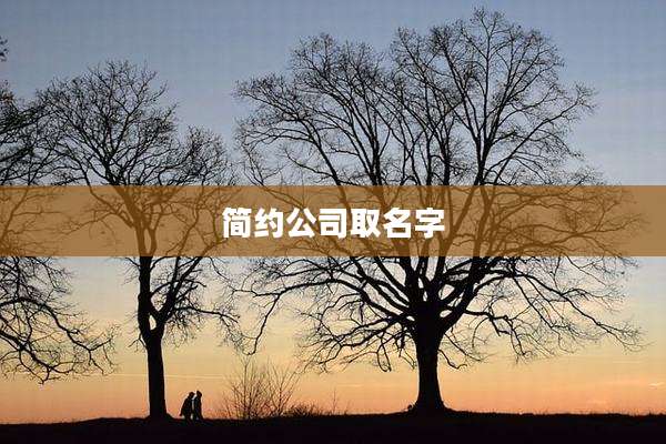 简约公司取名字