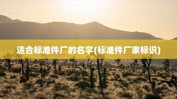 适合标准件厂的名字(标准件厂家标识)