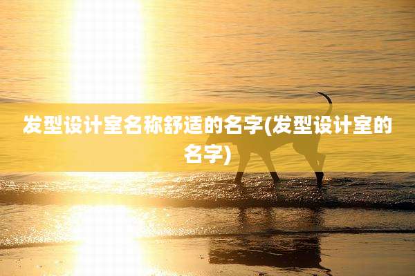 发型设计室名称舒适的名字(发型设计室的名字)