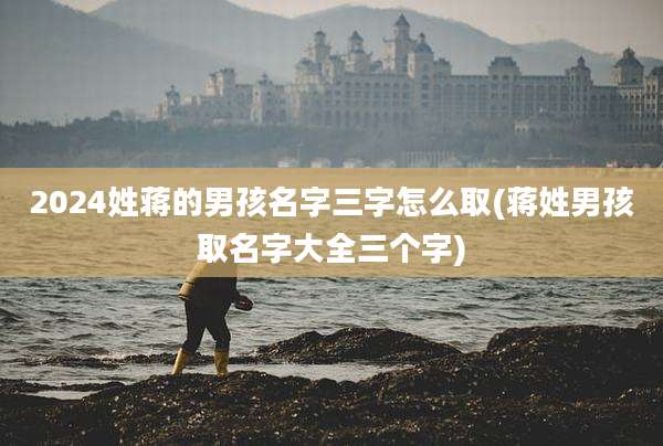 2024姓蒋的男孩名字三字怎么取(蒋姓男孩取名字大全三个字)