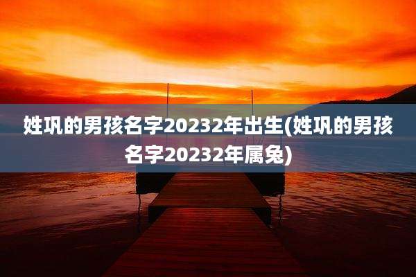 姓巩的男孩名字20232年出生(姓巩的男孩名字20232年属兔)