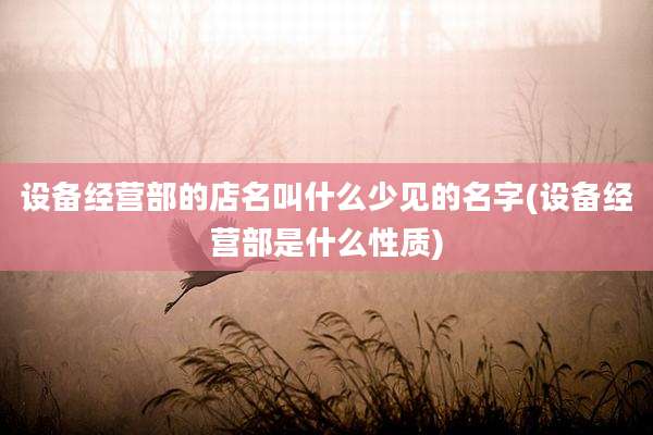 设备经营部的店名叫什么少见的名字(设备经营部是什么性质)