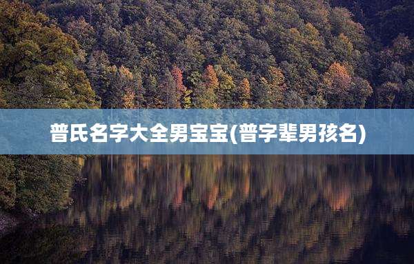 普氏名字大全男宝宝(普字辈男孩名)