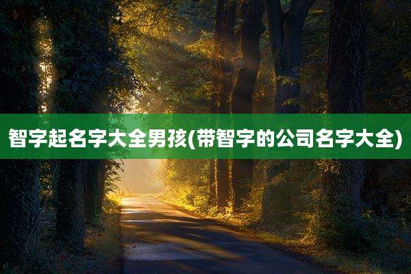 智字起名字大全男孩(带智字的公司名字大全)