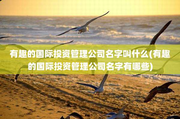 有趣的国际投资管理公司名字叫什么(有趣的国际投资管理公司名字有哪些)