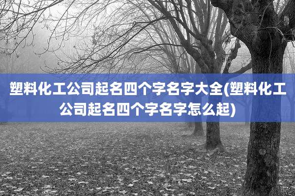 塑料化工公司起名四个字名字大全(塑料化工公司起名四个字名字怎么起)