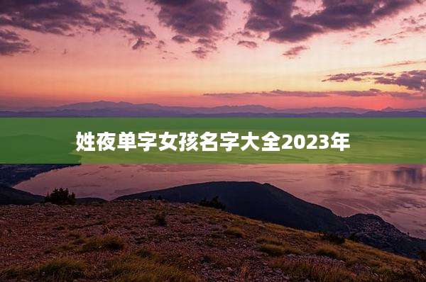 姓夜单字女孩名字大全2023年