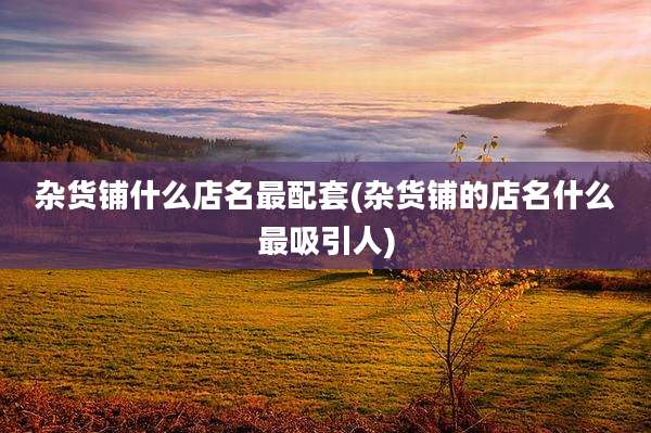 杂货铺什么店名最配套(杂货铺的店名什么最吸引人)