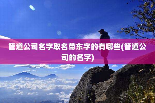 管道公司名字取名带东字的有哪些(管道公司的名字)