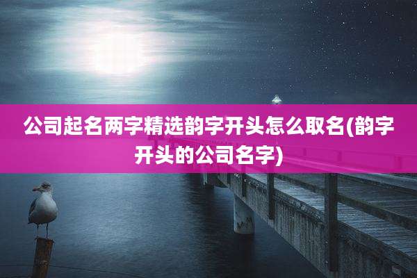 公司起名两字精选韵字开头怎么取名(韵字开头的公司名字)