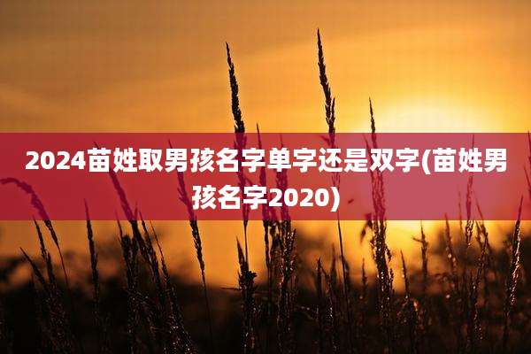 2024苗姓取男孩名字单字还是双字(苗姓男孩名字2020)