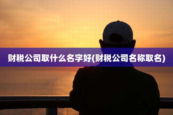 财税公司取什么名字好(财税公司名称取名)