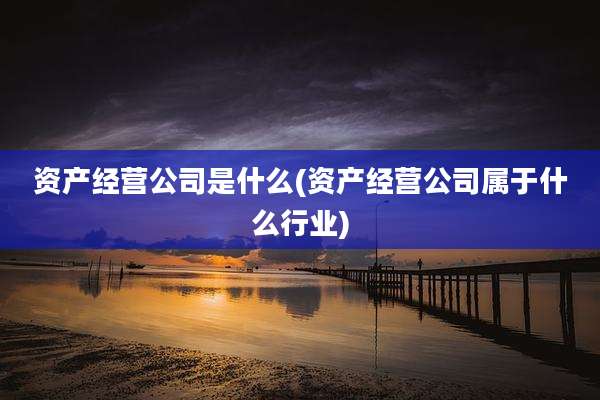 资产经营公司是什么(资产经营公司属于什么行业)