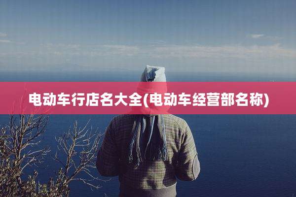 电动车行店名大全(电动车经营部名称)