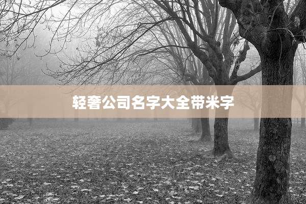 轻奢公司名字大全带米字
